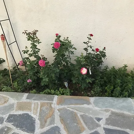 Nyaraló My Happy Place Paphos